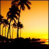 Paradise2